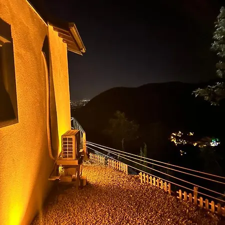 Sapanca Felix *